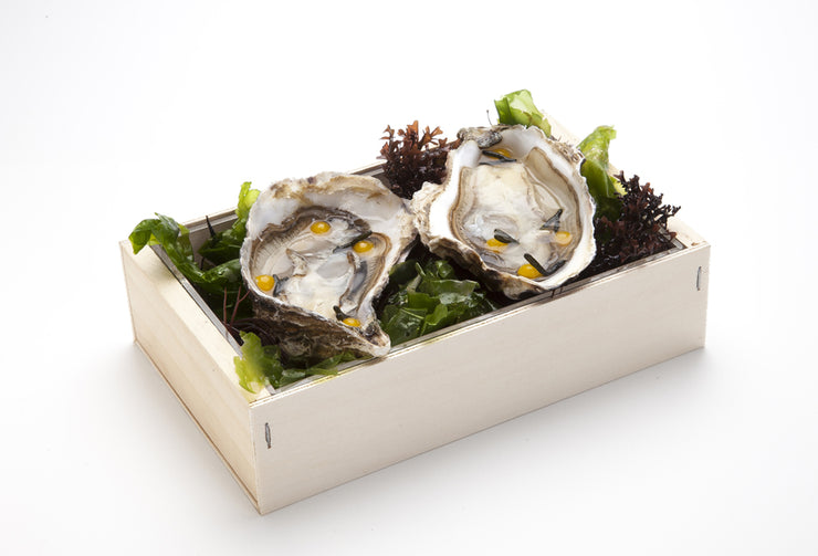Sea Food Box natur, 8 Stück - Only Premium Food entwickelt und vertreibt für alle Sparten der Gastronomie innovative Food Performance.