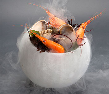 Icebowl Freezer - Only Premium Food entwickelt und vertreibt für alle Sparten der Gastronomie innovative Food Performance.