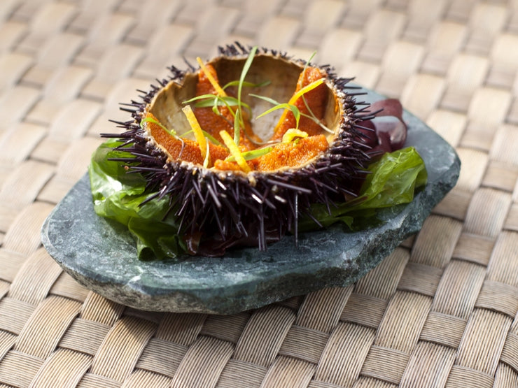 Imperator grün. Polierte Platte aus Macarel Marmor - Only Premium Food entwickelt und vertreibt für alle Sparten der Gastronomie innovative Food Performance.